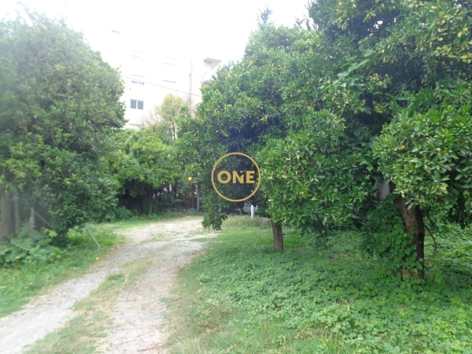 Moradia T5 para Venda em Bairro Foto 28