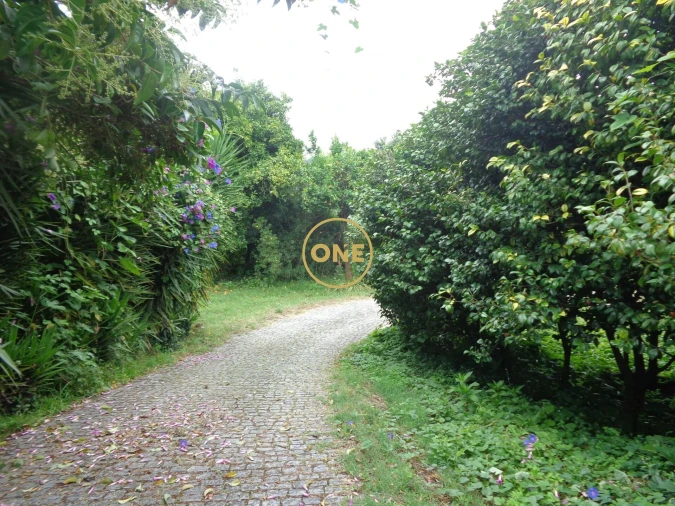 Moradia T5 para Venda em Bairro Foto 26