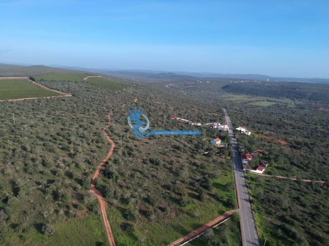 Terreno para Venda em Loule (São Clemente) Foto 3
