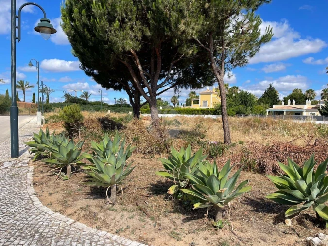Terreno para Venda em Lagos (São Sebastião e Santa Maria) Foto 4