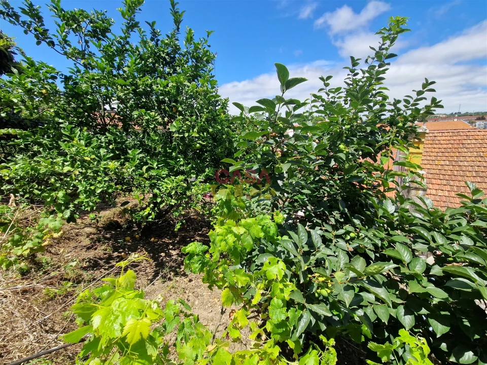 Moradia T2 para Venda em Torres Novas (Santa Maria, Salvador e Santiago) Foto 29
