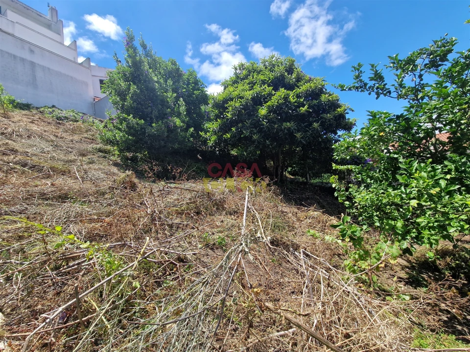 Moradia T2 para Venda em Torres Novas (Santa Maria, Salvador e Santiago) Foto 28