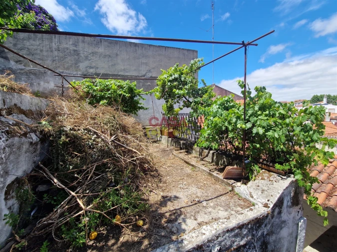 Moradia T2 para Venda em Torres Novas (Santa Maria, Salvador e Santiago) Foto 25