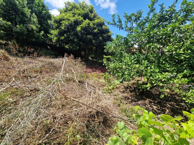 Moradia T2 para Venda em Torres Novas (Santa Maria, Salvador e Santiago) Foto 30