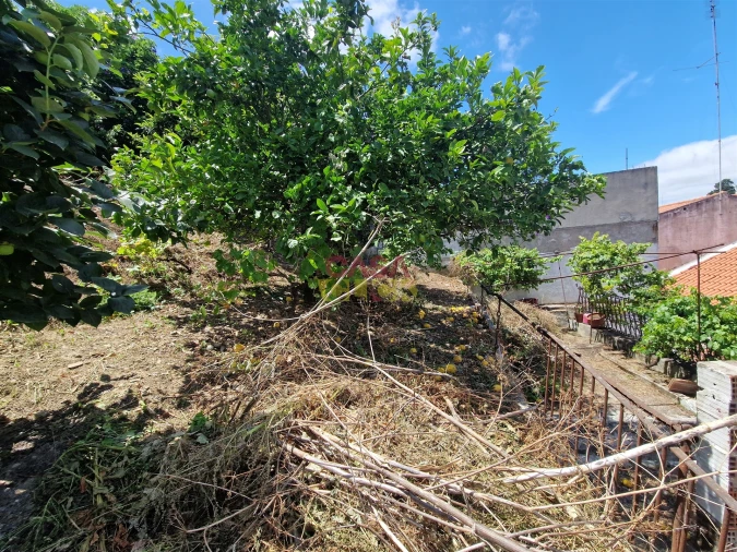 Moradia T2 para Venda em Torres Novas (Santa Maria, Salvador e Santiago) Foto 35