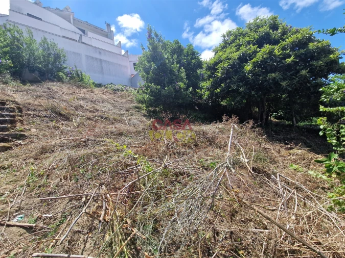 Moradia T2 para Venda em Torres Novas (Santa Maria, Salvador e Santiago) Foto 31