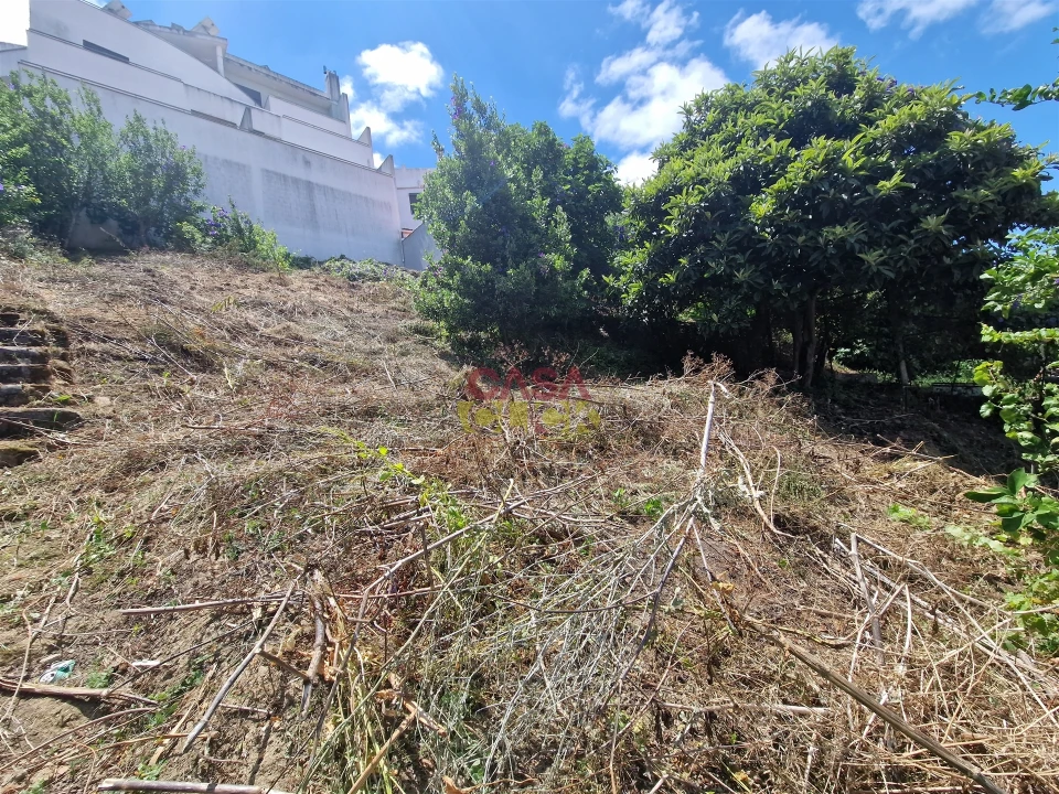 Moradia T2 para Venda em Torres Novas (Santa Maria, Salvador e Santiago) Foto 31