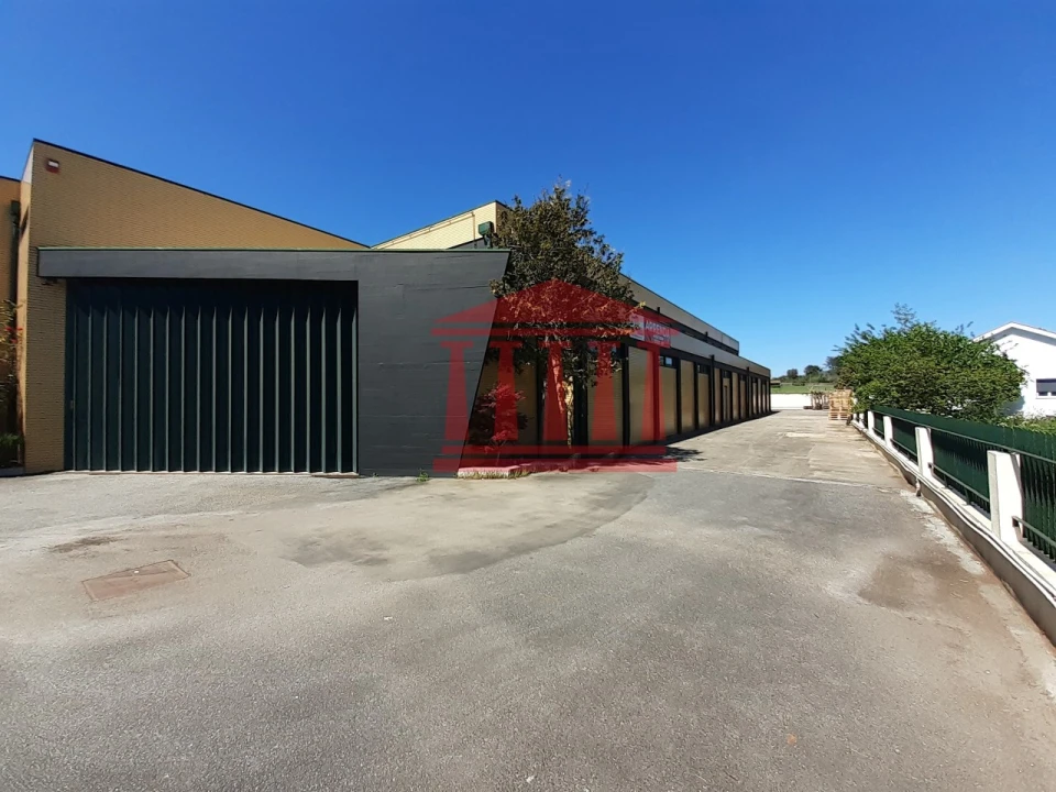 Loja para Arrendamento em Tamel (São Verissimo) Foto 2