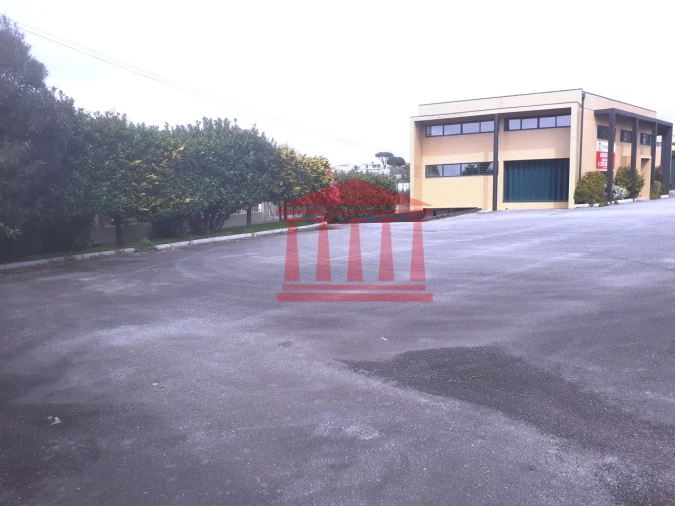 Loja para Arrendamento em Tamel (São Verissimo) Foto 3