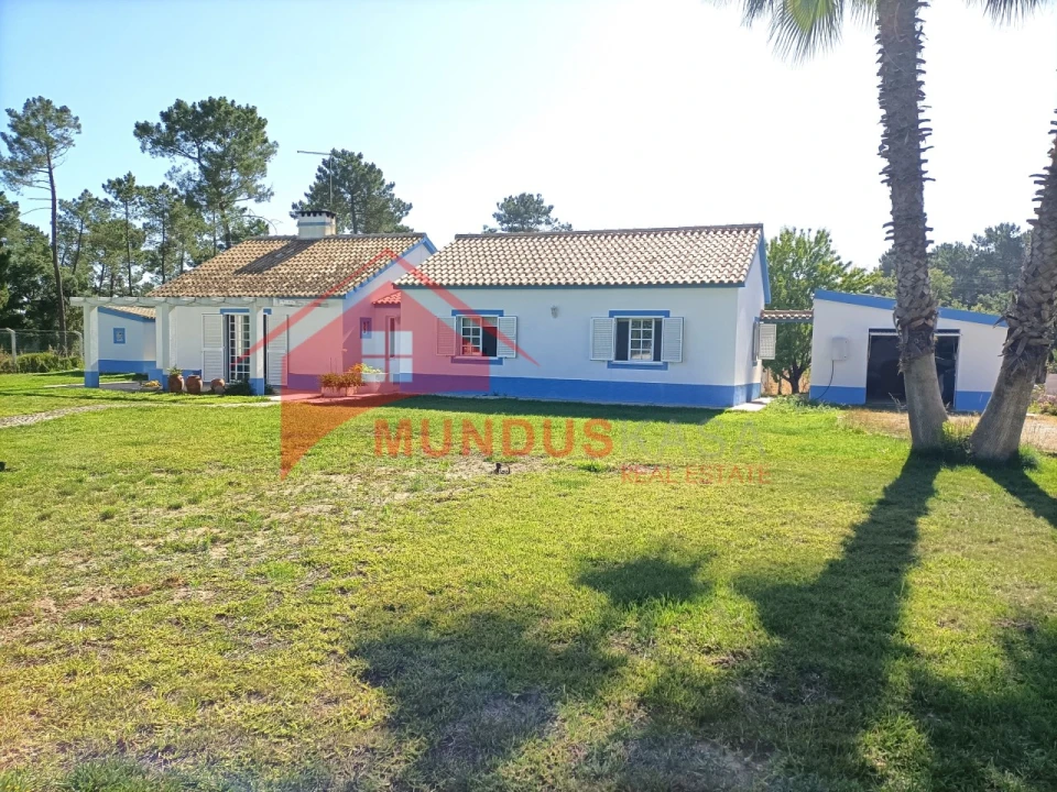 Quinta T4 para Venda em Azeitão (São Lourenço e São Simão) Foto 10