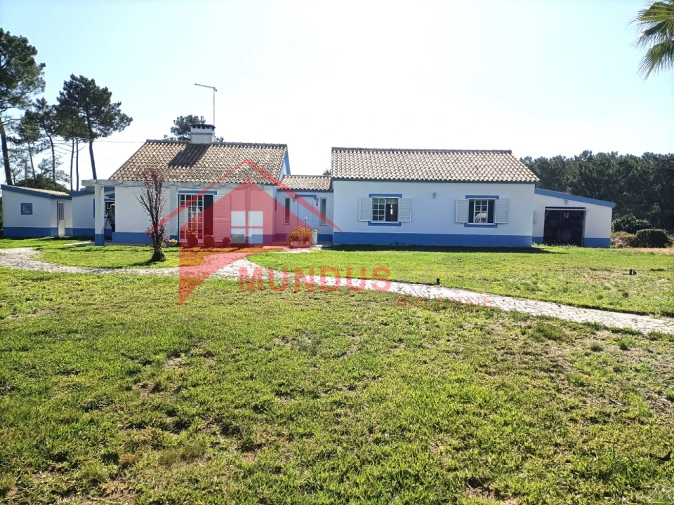 Quinta T4 para Venda em Azeitão (São Lourenço e São Simão) Foto 11