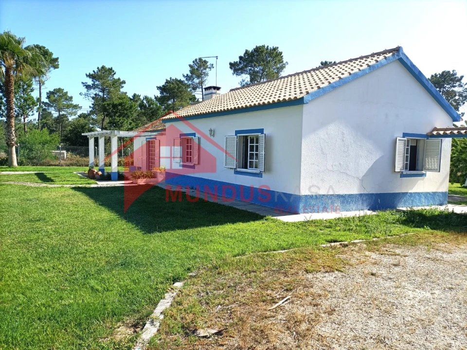 Quinta T4 para Venda em Azeitão (São Lourenço e São Simão) Foto 12