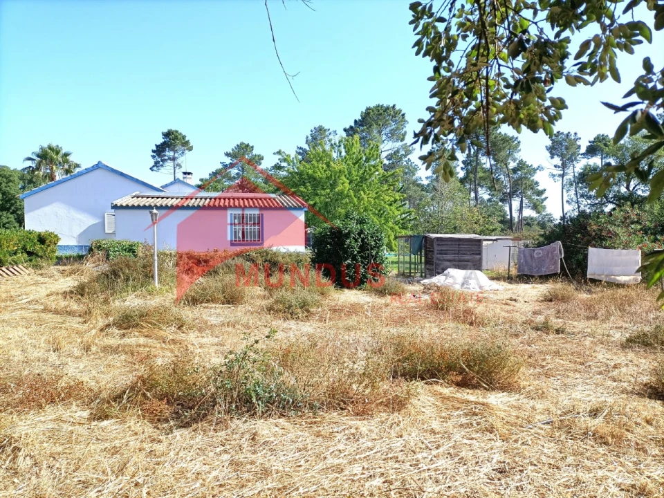 Quinta T4 para Venda em Azeitão (São Lourenço e São Simão) Foto 43