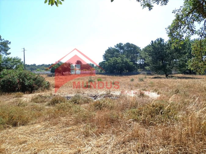 Quinta T4 para Venda em Azeitão (São Lourenço e São Simão) Foto 45
