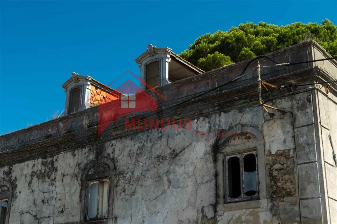 Quinta para Venda em Sesimbra (Castelo) Foto 9