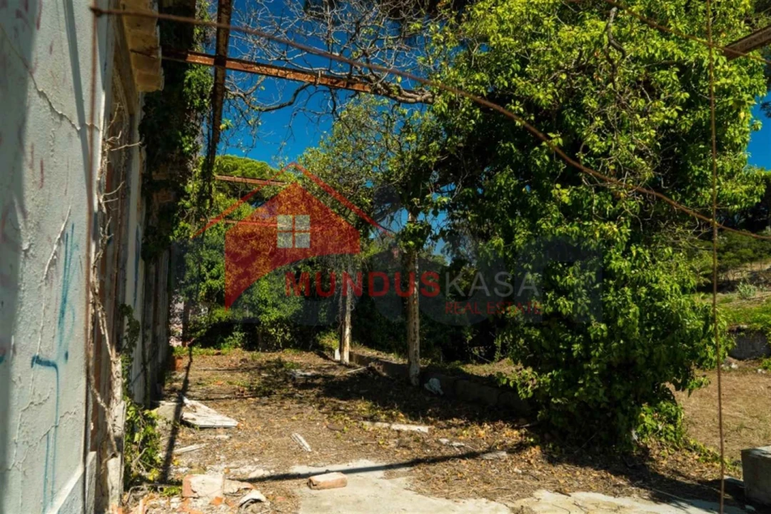 Quinta para Venda em Sesimbra (Castelo) Foto 11