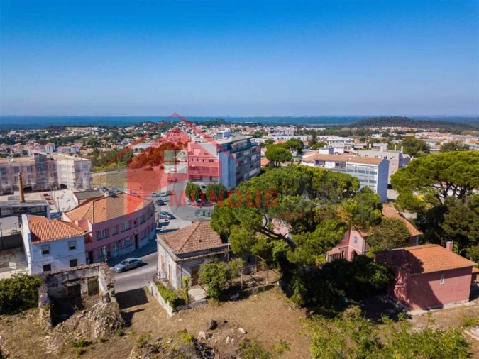 Quinta para Venda em Sesimbra (Castelo) Foto 4