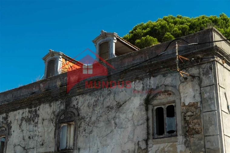 Quinta para Venda em Sesimbra (Castelo) Foto 9