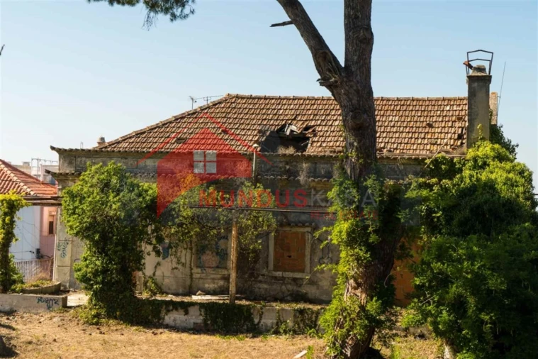 Quinta para Venda em Sesimbra (Castelo) Foto 10