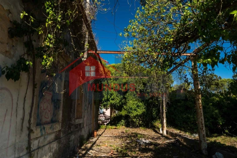 Quinta para Venda em Sesimbra (Castelo) Foto 12