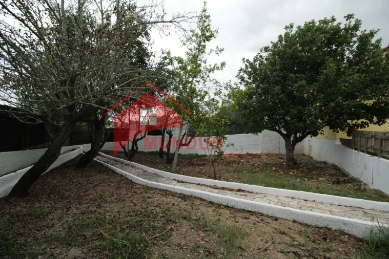 Moradia T3 para Venda em Sesimbra (Castelo) Foto 3