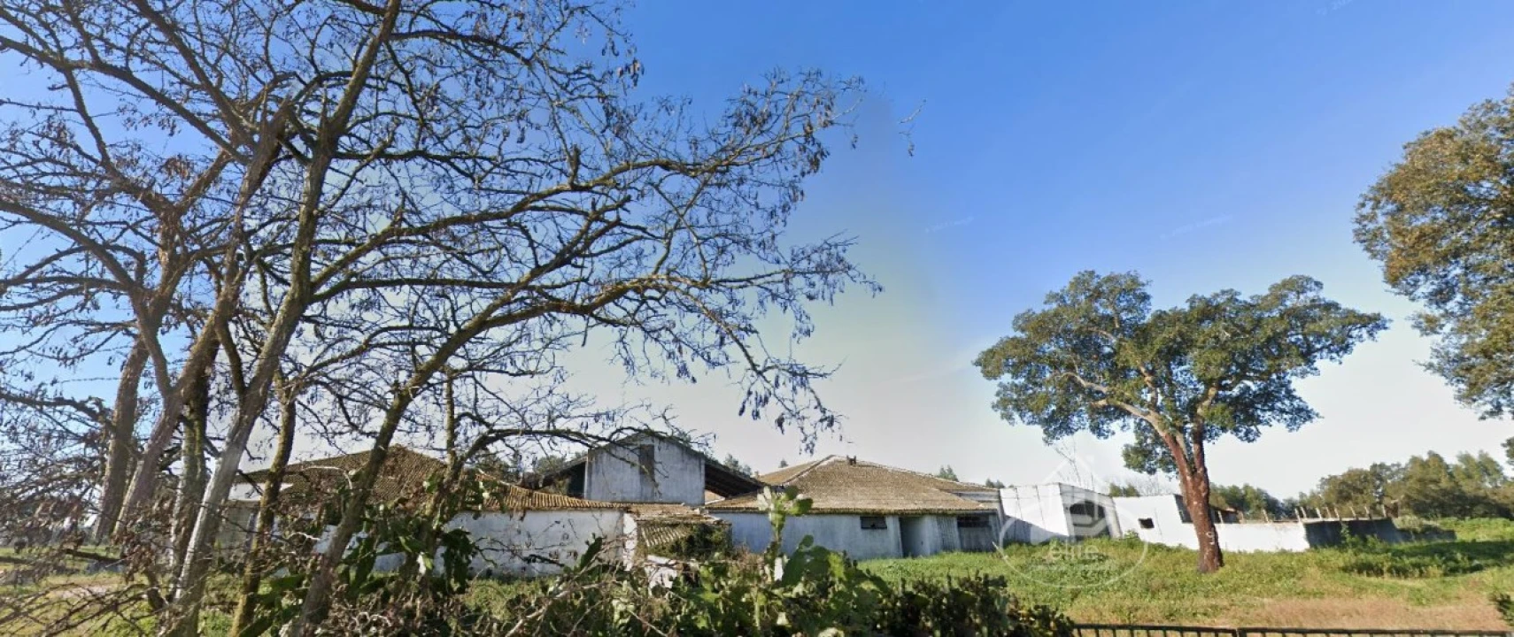 Quinta T12 para Venda em Sado Foto 4