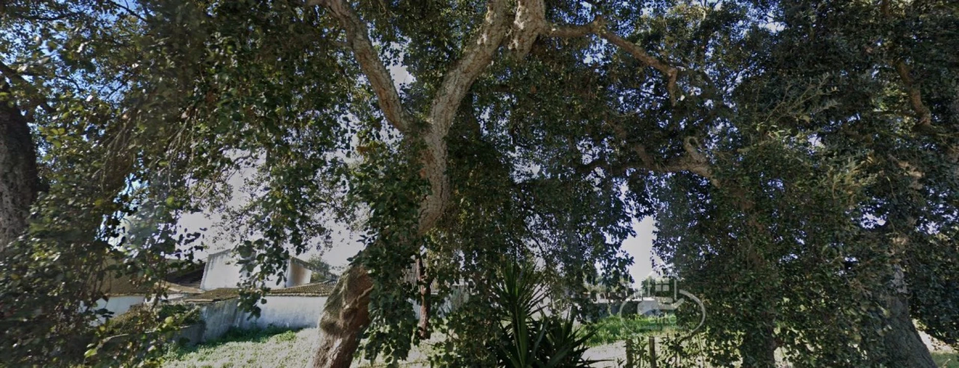 Quinta T12 para Venda em Sado Foto 5