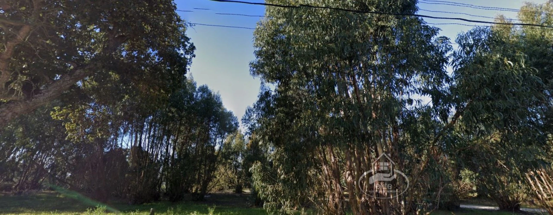 Quinta T12 para Venda em Sado Foto 7