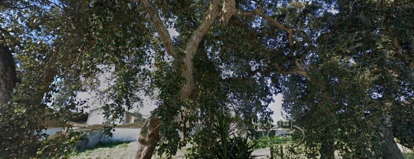 Quinta T12 para Venda em Sado Foto 5