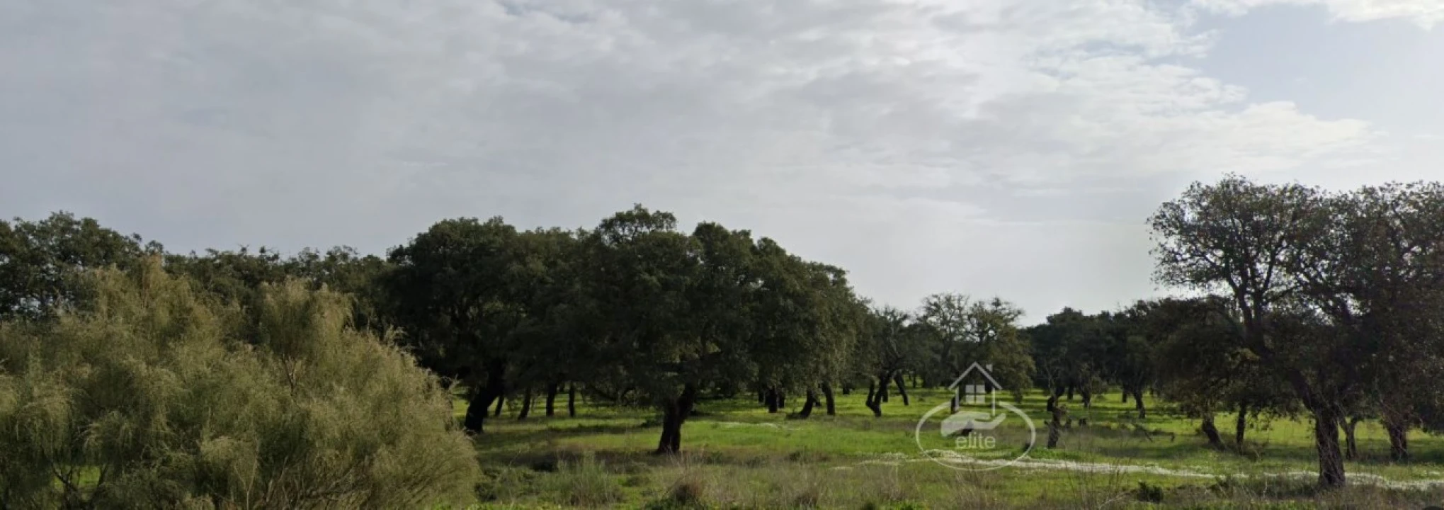 Terreno Comércio / Armazém para Venda em Gambia-Pontes-Alto da Guerra Foto 2