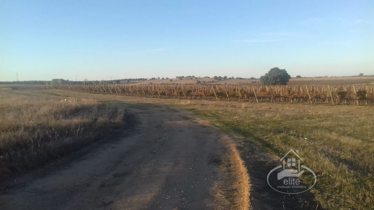 Terreno para Venda em Évora (São Mamede, Sé, São Pedro e Santo Antão) Foto 6