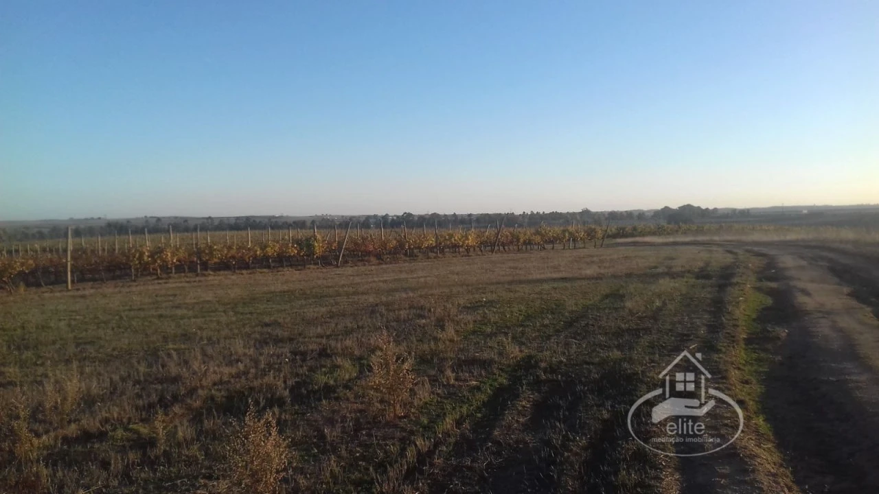 Terreno para Venda em Évora (São Mamede, Sé, São Pedro e Santo Antão) Foto 7