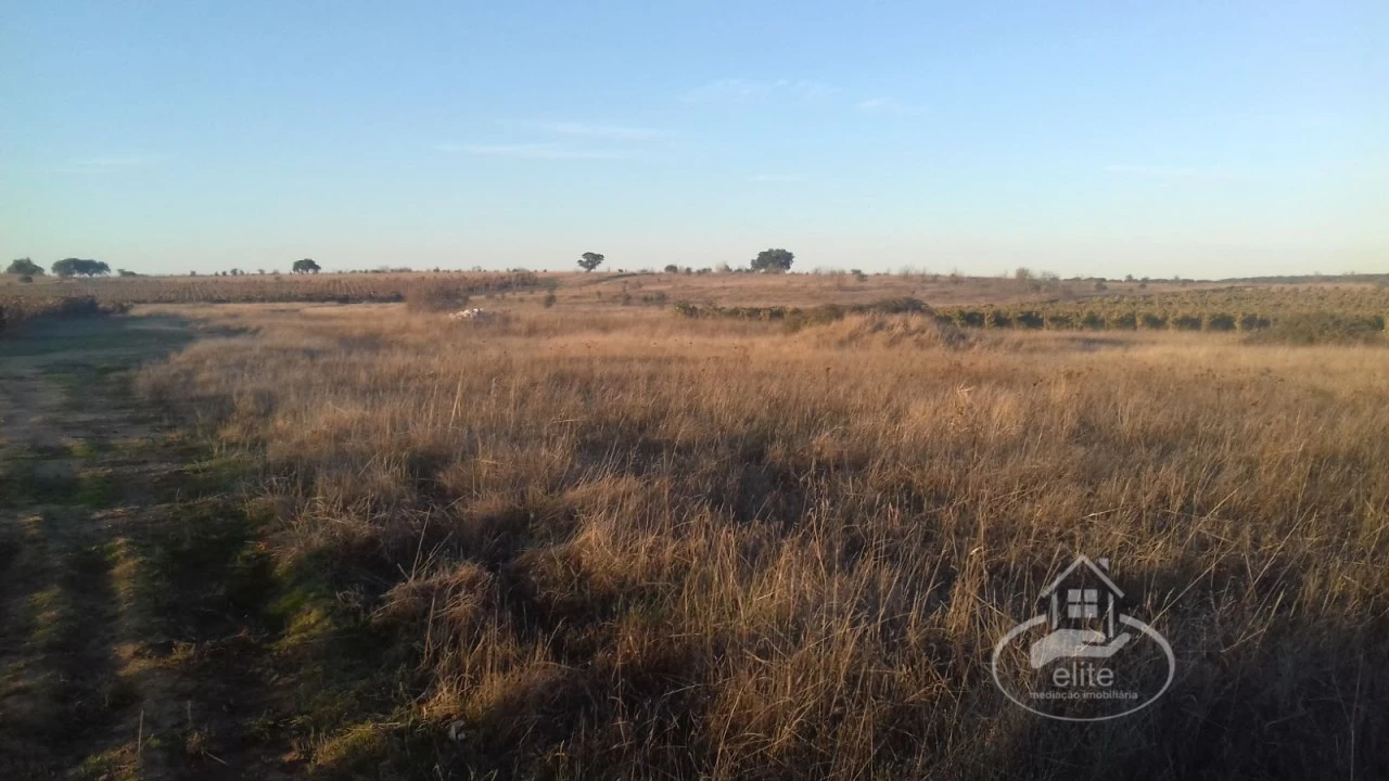 Terreno para Venda em Évora (São Mamede, Sé, São Pedro e Santo Antão) Foto 13