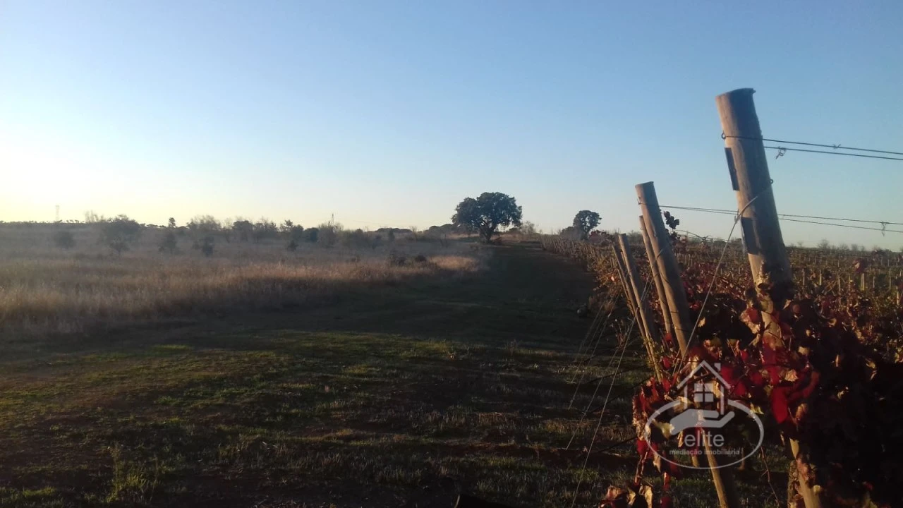 Terreno para Venda em Évora (São Mamede, Sé, São Pedro e Santo Antão) Foto 16