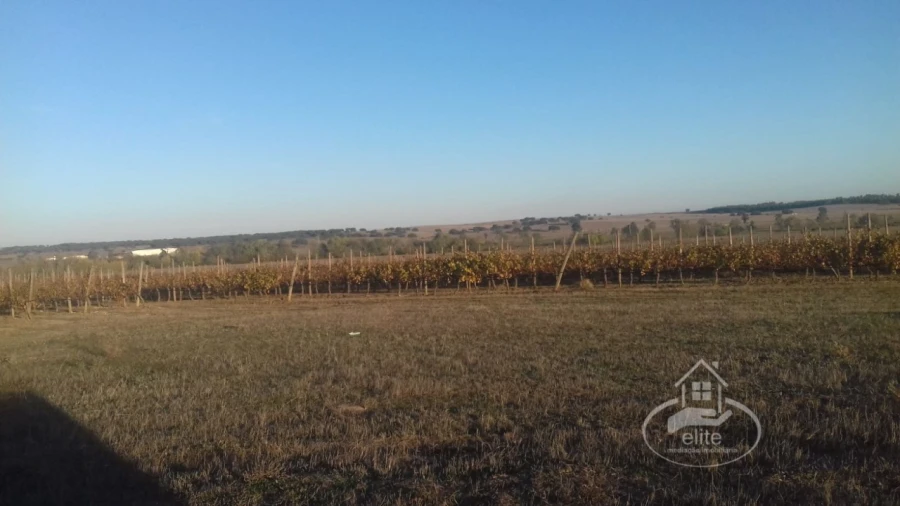 Terreno para Venda em Évora (São Mamede, Sé, São Pedro e Santo Antão) Foto 4