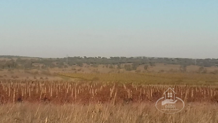 Terreno para Venda em Évora (São Mamede, Sé, São Pedro e Santo Antão) Foto 9