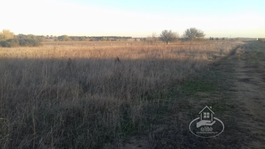 Terreno para Venda em Évora (São Mamede, Sé, São Pedro e Santo Antão) Foto 12