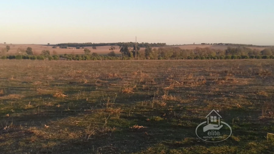 Terreno para Venda em Évora (São Mamede, Sé, São Pedro e Santo Antão) Foto 15