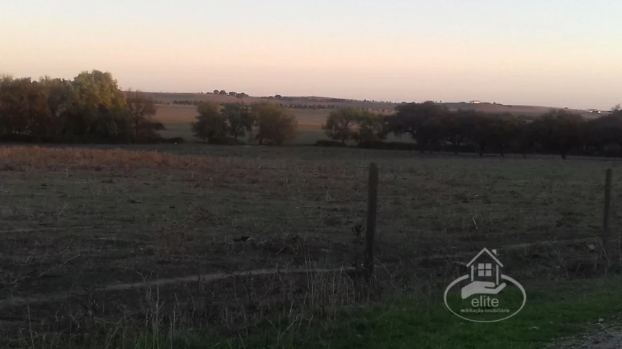 Terreno para Venda em Évora (São Mamede, Sé, São Pedro e Santo Antão) Foto 18