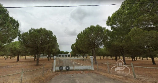 Quinta para Venda em Pegões