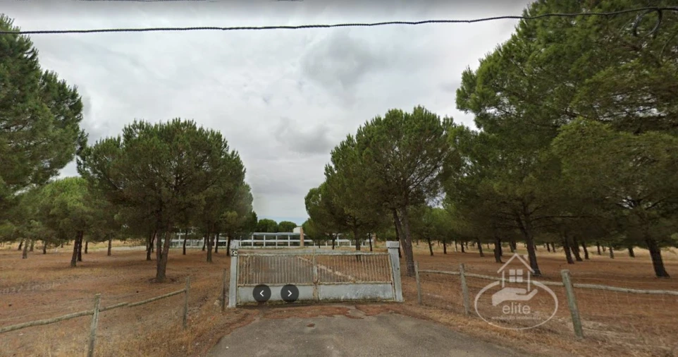 Quinta para Venda em Pegões