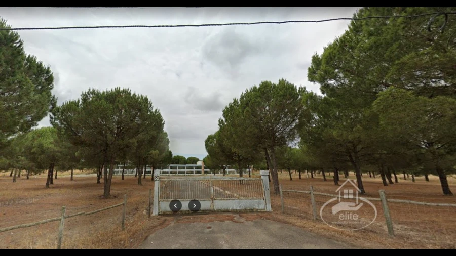 Quinta para Venda em Pegões