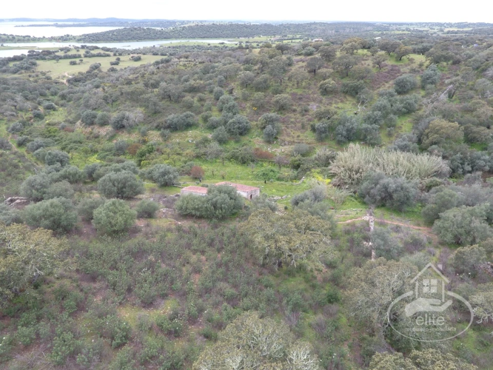 Quinta T4 para Venda em Reguengos de Monsaraz Foto 13