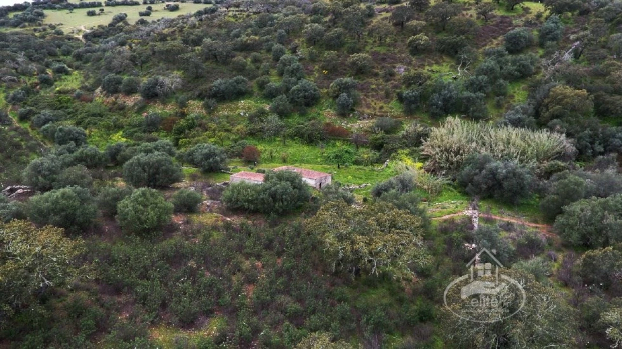 Quinta T4 para Venda em Reguengos de Monsaraz Foto 21