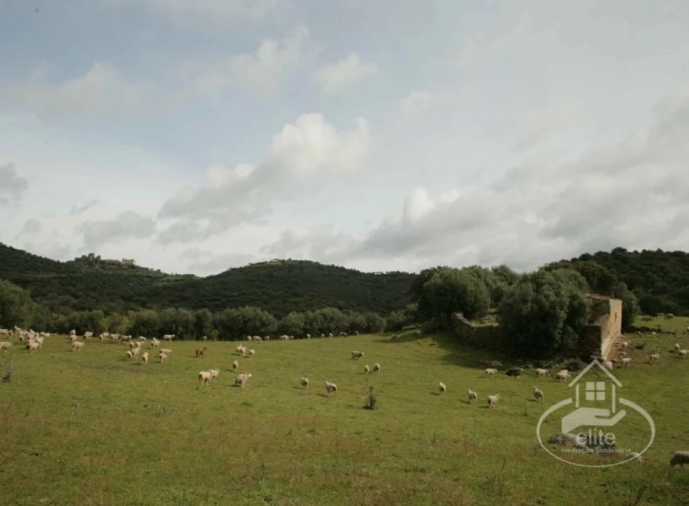 Quinta T4 para Venda em Reguengos de Monsaraz Foto 31