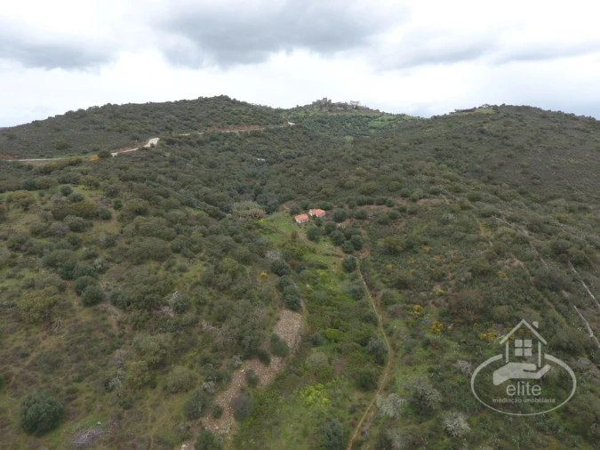 Quinta T4 para Venda em Reguengos de Monsaraz Foto 10