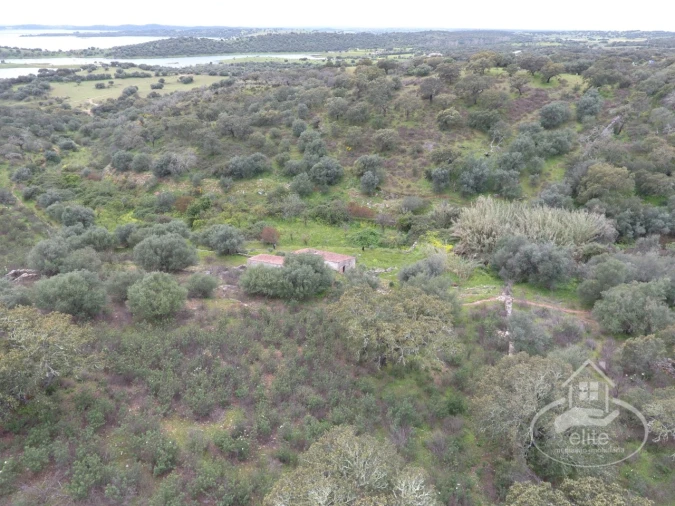 Quinta T4 para Venda em Reguengos de Monsaraz Foto 13