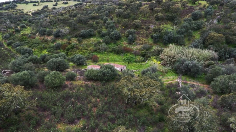 Quinta T4 para Venda em Reguengos de Monsaraz Foto 21