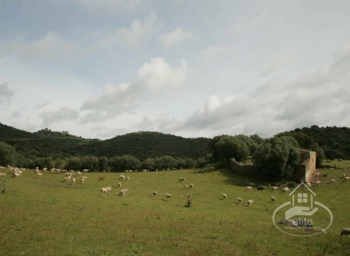 Quinta T4 para Venda em Reguengos de Monsaraz Foto 31