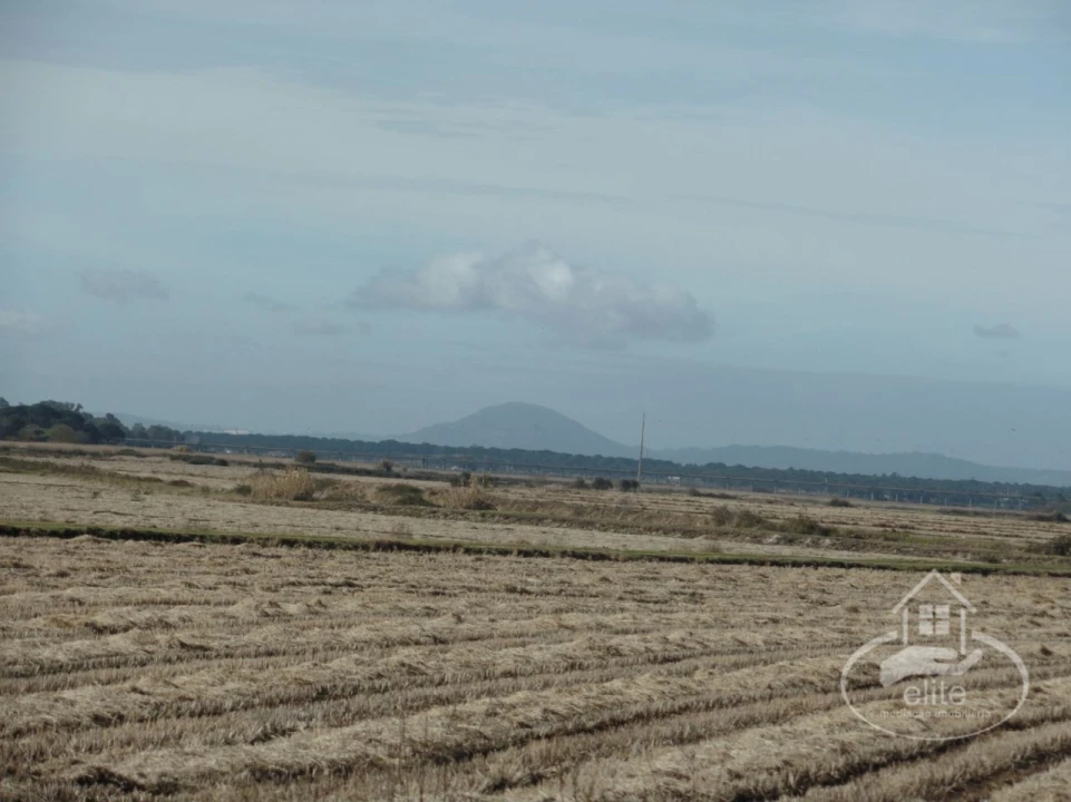 Quinta para Venda em Poceirão e Marateca Foto 5
